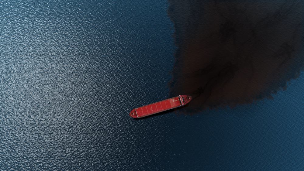 Extended vessel information